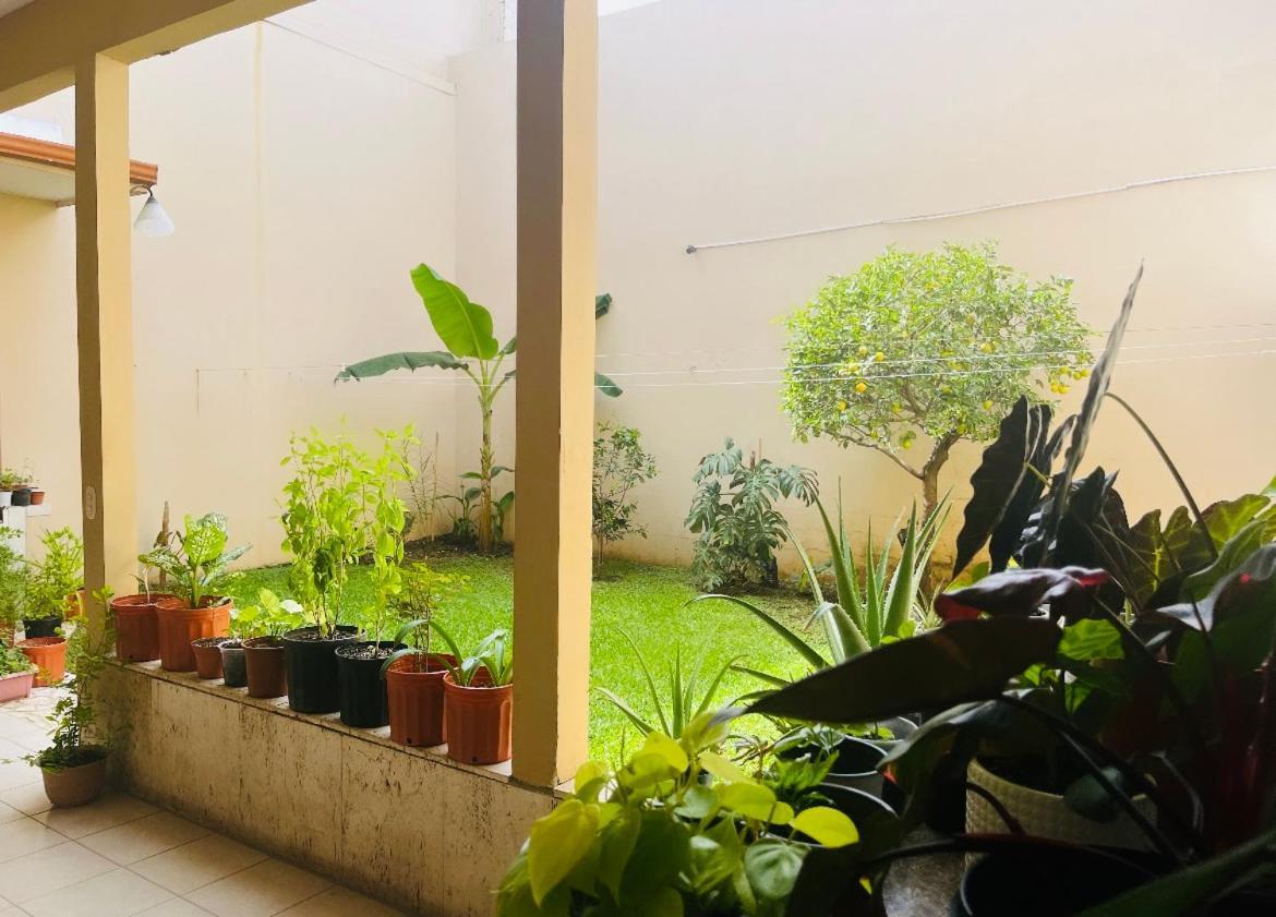 Ester'S Place Escazú Εξωτερικό φωτογραφία