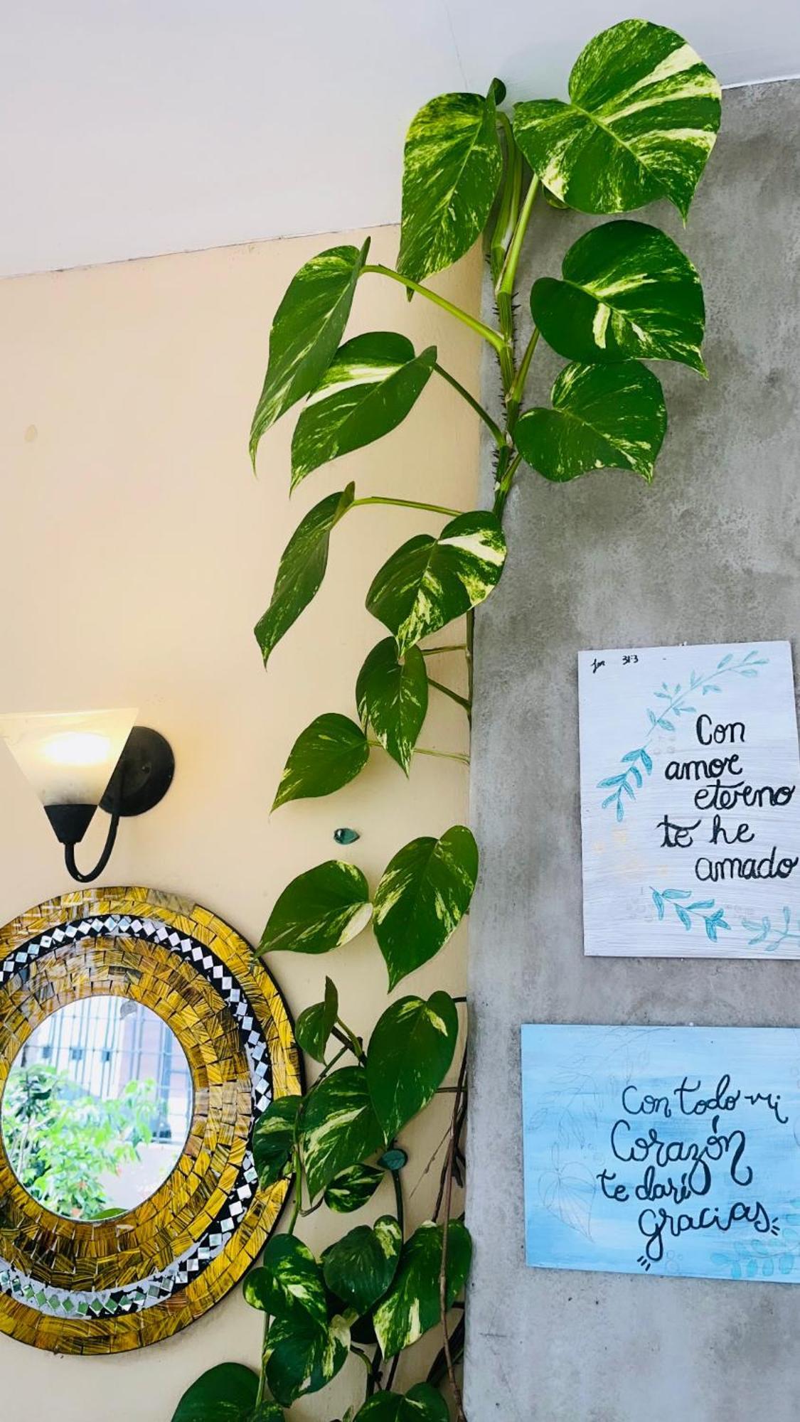 Ester'S Place Escazú Εξωτερικό φωτογραφία