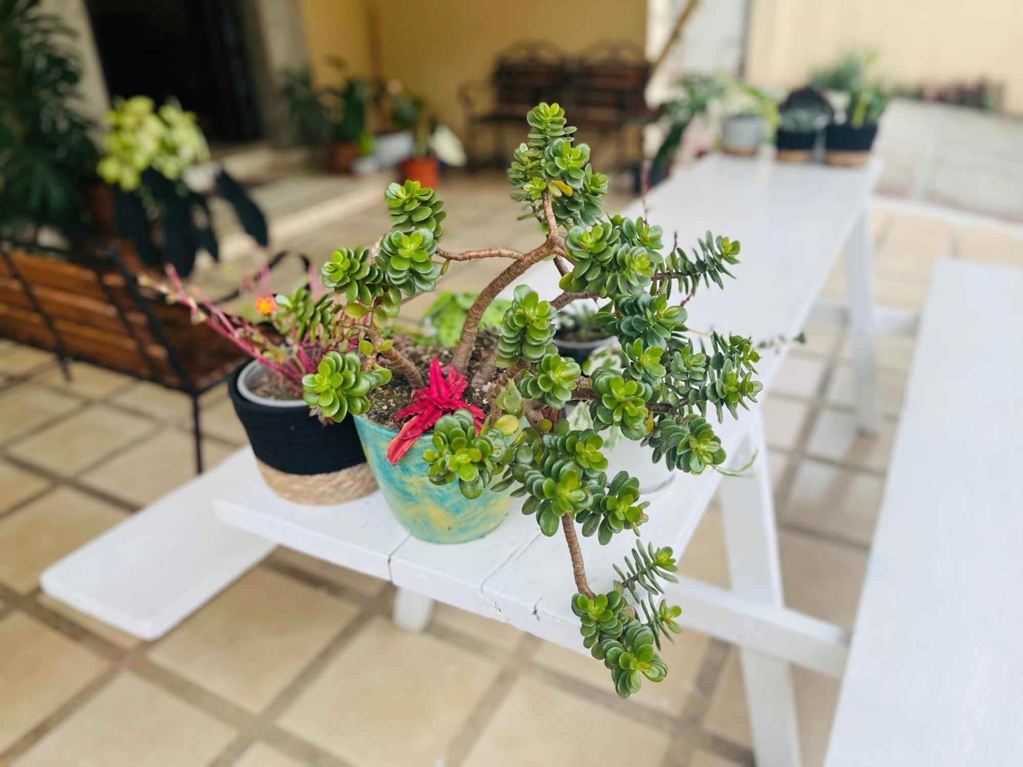 Ester'S Place Escazú Εξωτερικό φωτογραφία