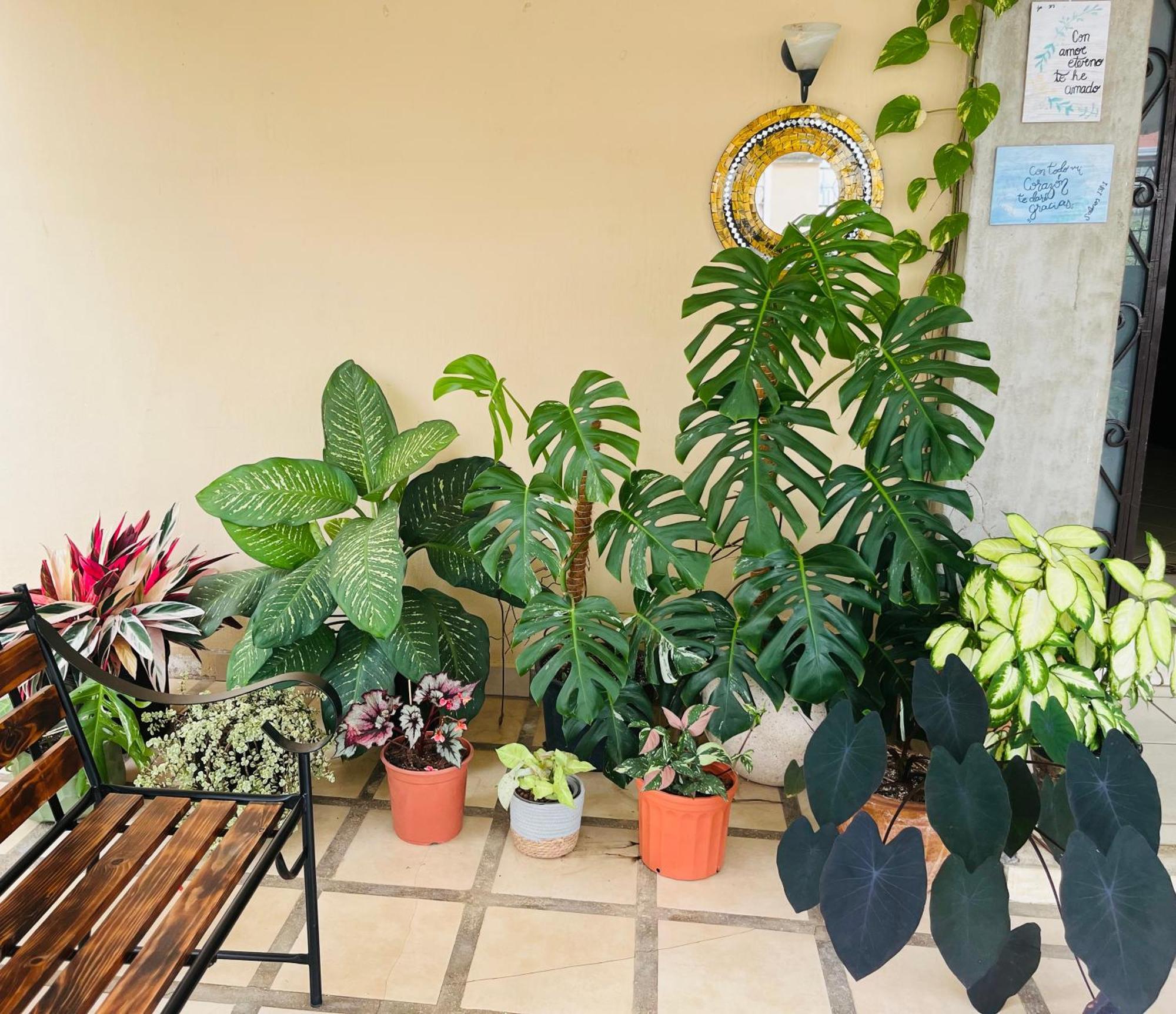 Ester'S Place Escazú Εξωτερικό φωτογραφία