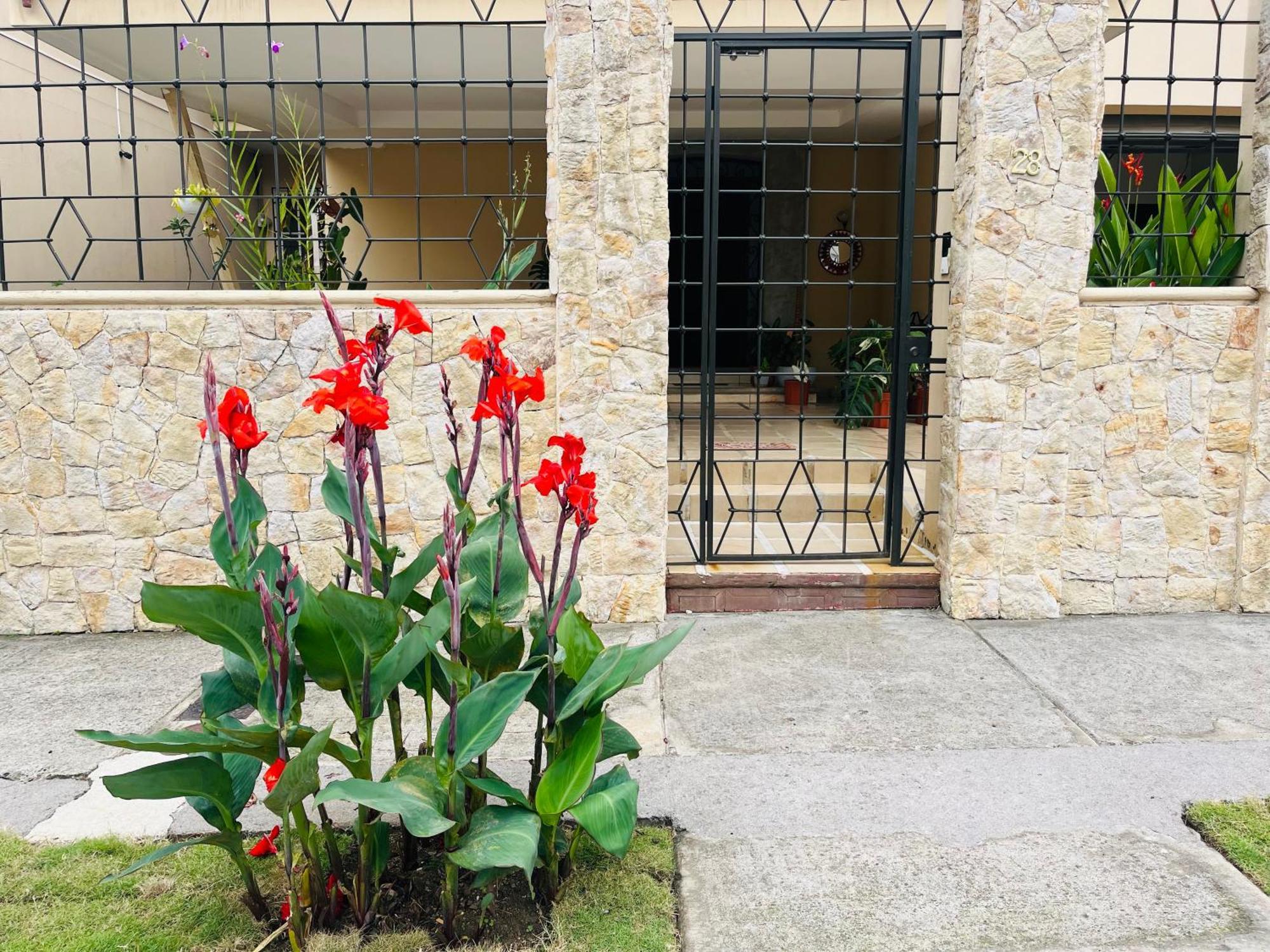 Ester'S Place Escazú Εξωτερικό φωτογραφία